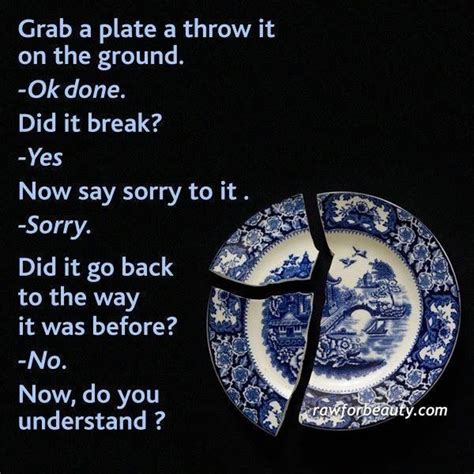 Pix For Broken Plate Sorry Quote Sayings Say Sorry Plates