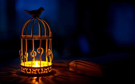 Bird Cage Wallpapers Wallpaper Cave