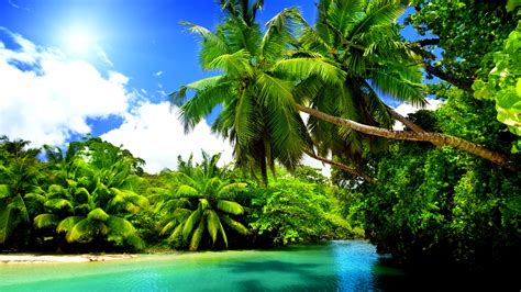 Tropical Wallpapers Photos And Desktop Backgrounds Up To 8k 7680x4320