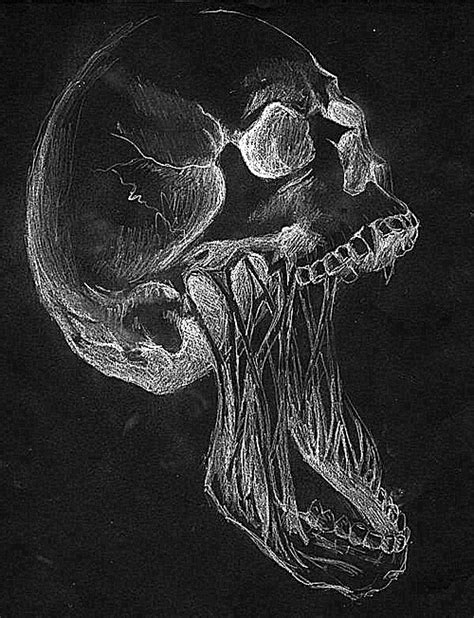 Pin By Hana Gardiner On Skull Art Ii Death Art Skull Art Horror Art