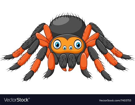 Cartoon Spider Tarantula With Red Knees Royalty Free Vector Animales