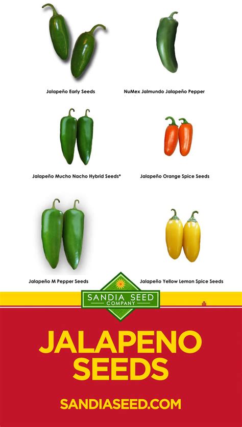 Jalapeno Pepper Seeds Outdoor And Gardening Seeds And Seed Bombs