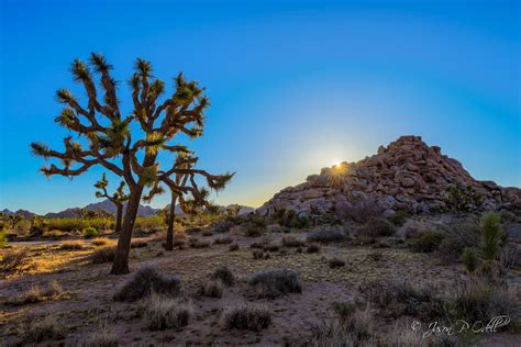 Workshop Report Joshua Tree Desert Landscapes Jason P Odell Photography