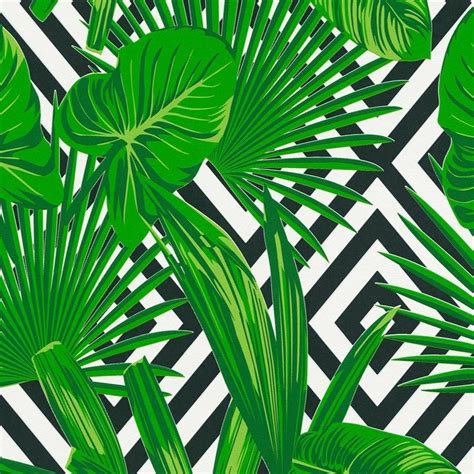 How big is fred speckled palm wallpaper roll? Green Tropical Leaf on Black and White Geometric Diamond ...