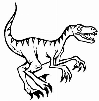 Coloring Velociraptor Pages Raptor Dinosaur Raptors Printable