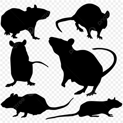 Mouse Rat Silhouette Mouse Silhouette Rat Silhouette Animal