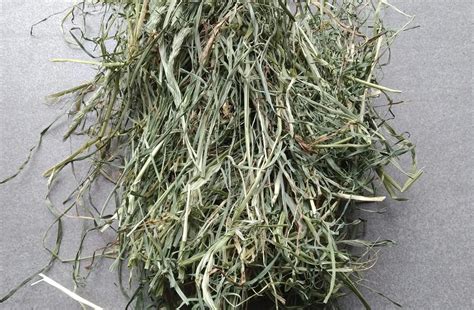 2021 16kgs Orchard Grass Timothy Hay Hay Supplies Uk