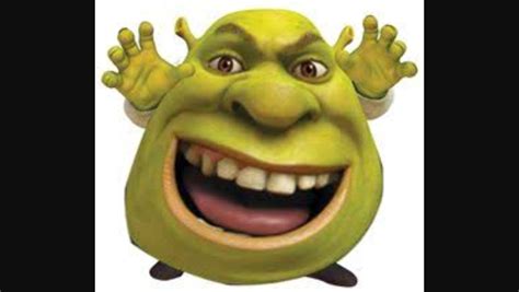 Get Out Of My Swamp Shrek Memes Shrek Funny Shrek