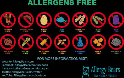 Top 14 Allergy Types Infographic Allergy Types Allergies Infographic