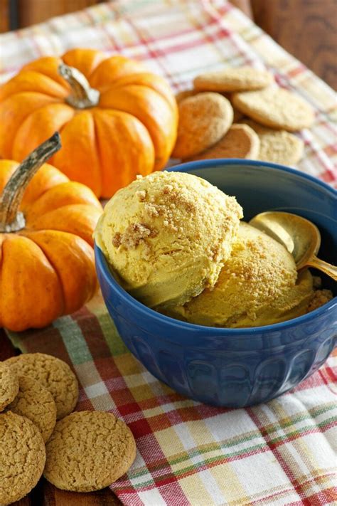Pumpkin Pie Ice Cream Recipe Girl