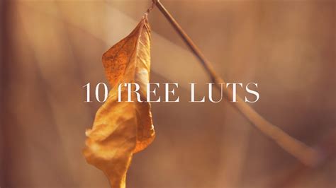 Easily apply a vintage or cinematic look in premiere pro, fcpx, davinci resolve, and more! Depth Of Field -10 FREE LUT PRESETS TO DOWNLOAD | Adobe ...