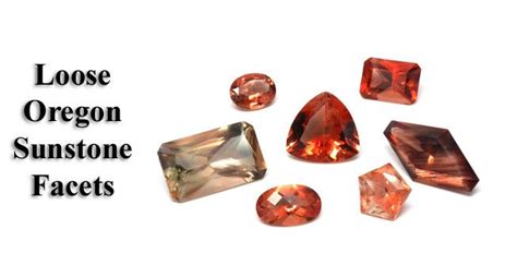 Welcome To The Fossil Cartel Fine Jewelry Fossils And More Fossil Fine Jewelry Crystals