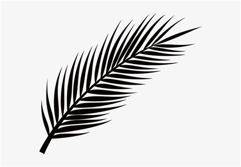 Picture Palm Leaf Png Free Free Transparent Png Download Pngkey