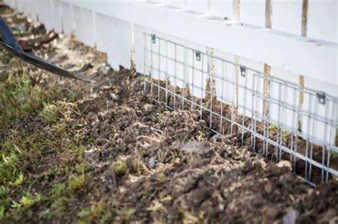 8 Ways To Stop Rabbits From Digging Holes In Yard