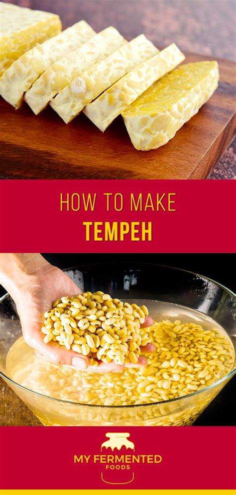 Step By Step Guide On How To Make Tempeh At Home Soybeans Ferment