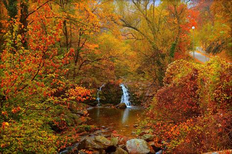 Magical Autumn By Mamamika On Deviantart
