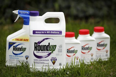 Federal Judge Rules California Can T Label Glyphosate Herbicide As Cancer Causing Genetic
