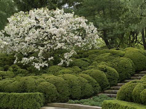 Deborah Nevins & Associates, Midwest Estate