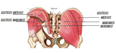 6 Moves For Stronger Glutes