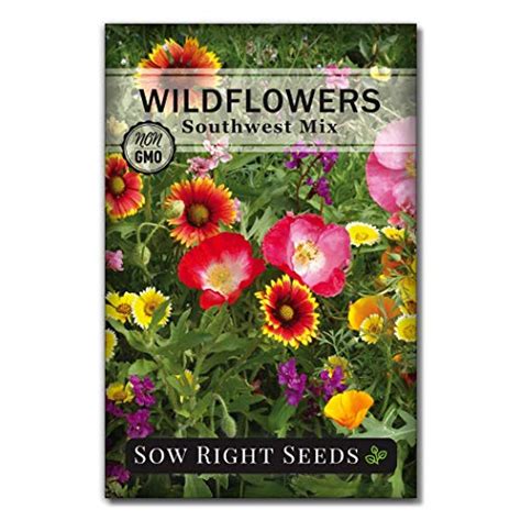 Check Out The 10 Best New Mexico Wildflower Seeds In 2022 You Dont