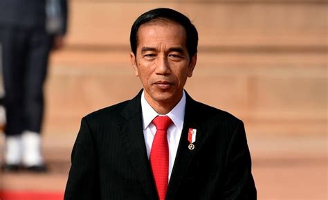 Biografi Jokowi Lengkap Profil Foto Dan Biodata Hang Guru