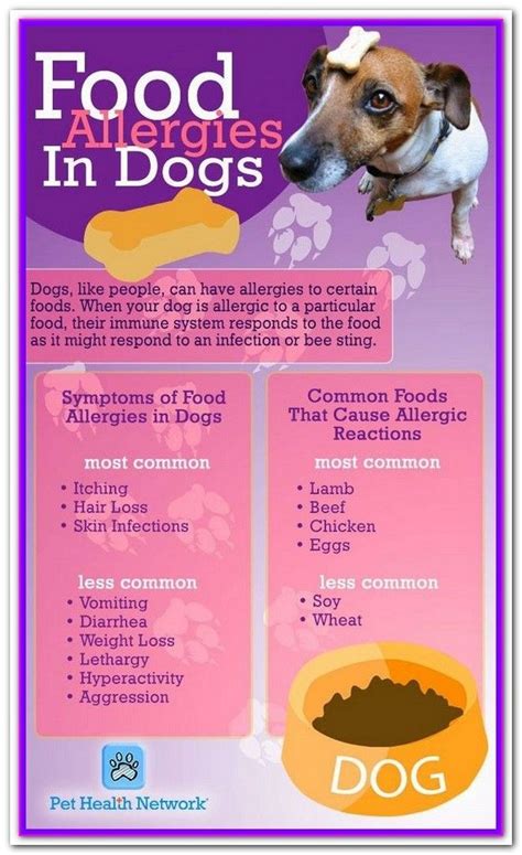 Dog food that are specifically formulated to address skin allergies includes below: Best Dog Food For Dachshunds With Allergies | Best dog ...