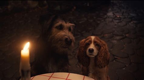 Lady And The Tramp 2019 Reviews Metacritic