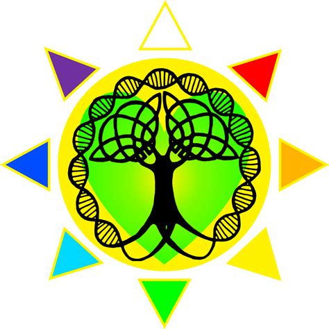 Celtic Tree Of Life - Original Size PNG Image - PNGJoy