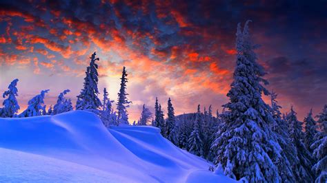 Wallpaper Id 31647 Forest Snow Winter Sunrise Clouds 4k Free