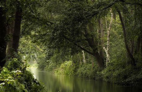 Download 2048x1334 River, Forest, Calm Water, Outdoors, Foliage, Bushes Wallpapers - WallpaperMaiden