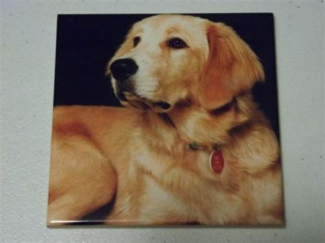 Golden retriever └ dog collectables └ animal collectables └ collectables all categories antiques art baby ornaments/figurines ceramic/pottery golden retriever collectables. Adorable Golden Retriever Ceramic Tile by 4pawsdecals on ...
