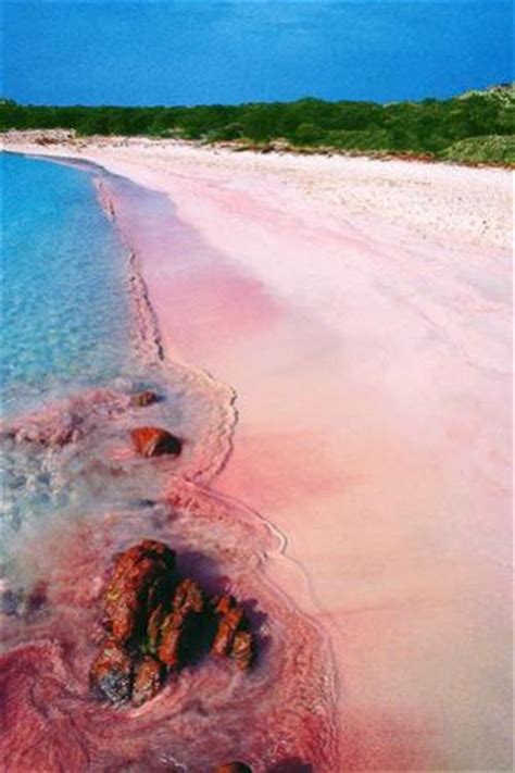 Посмотрите твиты по теме «#budelli» в твиттере. Pink Sand Beach, Budelli Island, Sardinia (Italy) | Places ...
