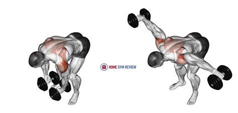 Dumbbell Rear Lateral Raise Home Gym Review