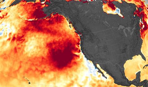Severe Marine Heat Waves Linked To Human Caused Warming Inside Science