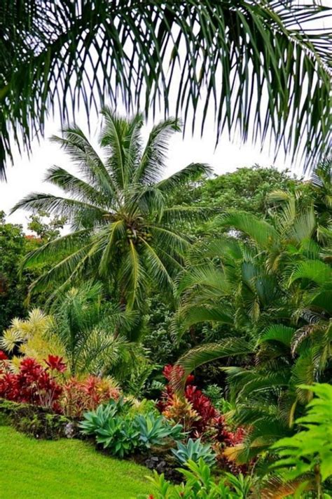 35 Amazing Tropical Landscaping Ideas To Make Beautiful