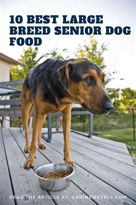 The Best Senior Dog Food For Large Dogs In 2021 Canine Weekly Large