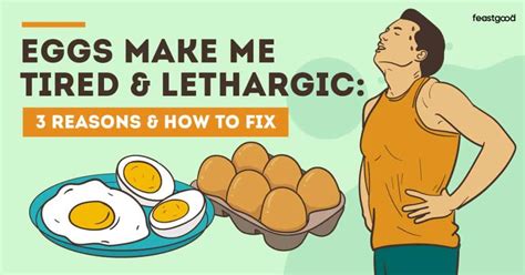 Eggs Make Me Tired And Sleepy 3 Reasons How To Fix