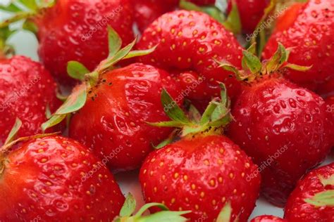 Fresh Strawberries — Stock Photo © Inesska250282 73234471