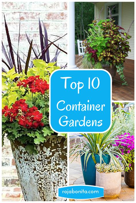 Top 10 Container Gardens For Your Summer Patio Container Gardening