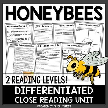 Honey Bees Reading Comprehension Passage Worksheets By Shelly Rees