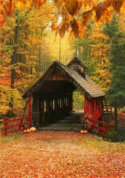 Michigan 🍁🍂 Autumn Scenery Covered Bridges Scenery