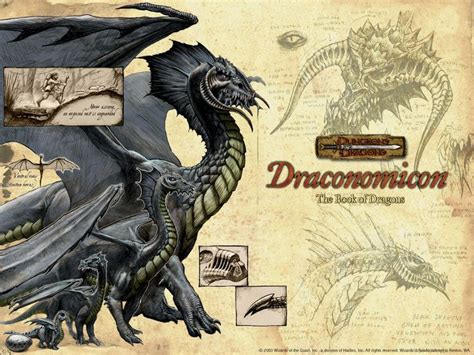 Draconomicon Forgotten Realms Black Dragon Dungeons And Dragons