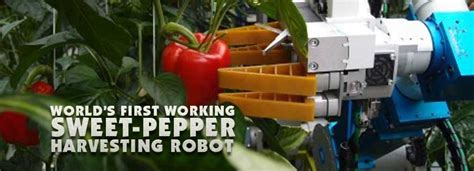 Worlds First Working Sweet Pepper Harvesting Robot Andnowuknow