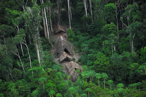 Uncontacted Tribes In The Rainforest