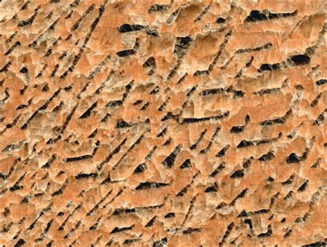Graphic Granite 8 Cm Across From The Precambrian Of Russias