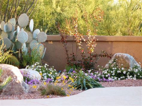 Native Plants For An Arizona Southwest Landscape Watters Garden Center