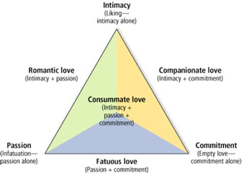 To be sure, all three components must come into play for an ideal romantic relationship, but the amount of each component required may vary from one. If Love Was A Disease: Different Combinations of Love
