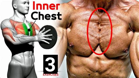 5 Best Chest Workout At Gym Meilleurs Exs Musculation Poitrine Inner