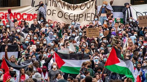 Watch Harvard Student Swarmed By Pro Palestinian Protesters After
