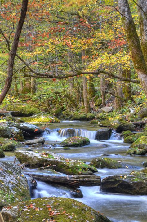 Smoky Mountains Stream Beautiful Landscapes Mountain Stream Scenery